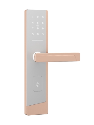قفل الباب ذكي بشاشة لمسة و رمز مرور لمسؤول واحد و حتى 100 مستخدم